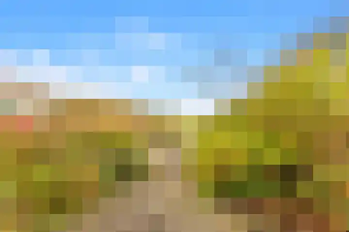 De Herderin 50 Uitgeest thumbnail 37