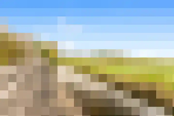 De Herderin 50 Uitgeest thumbnail 38