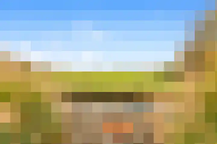 De Herderin 50 Uitgeest thumbnail 39