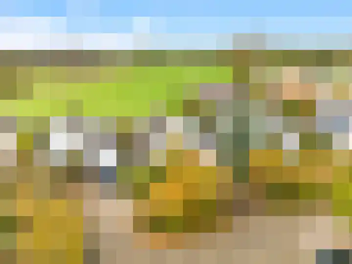 De Herderin 50 Uitgeest thumbnail 4