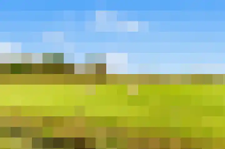 De Herderin 50 Uitgeest thumbnail 40