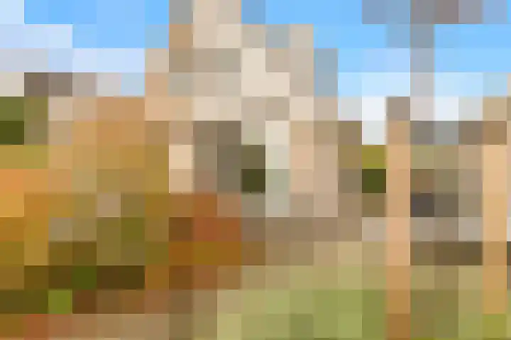 De Herderin 50 Uitgeest thumbnail 41
