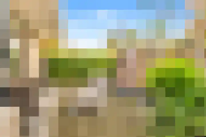 De Herderin 50 Uitgeest thumbnail 42