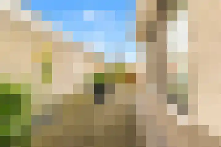 De Herderin 50 Uitgeest thumbnail 43