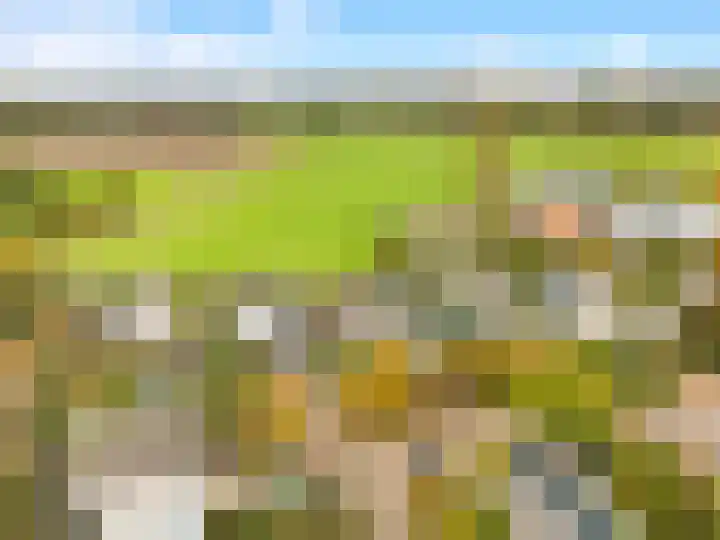 De Herderin 50 Uitgeest thumbnail 44
