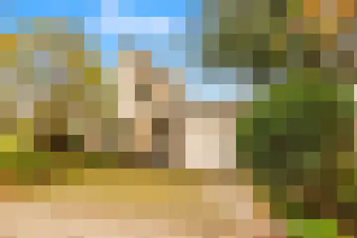 De Herderin 50 Uitgeest thumbnail 46