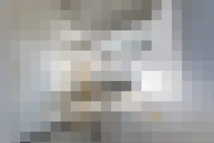 De Herkulis 16 Wormer thumbnail 20