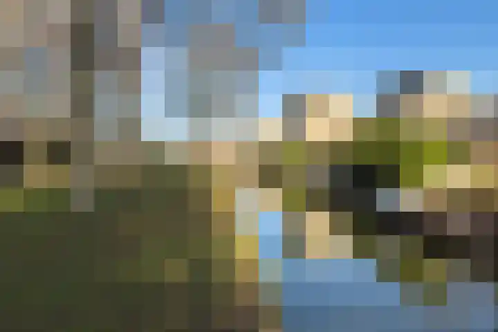 De Herkulis 16 Wormer thumbnail 30