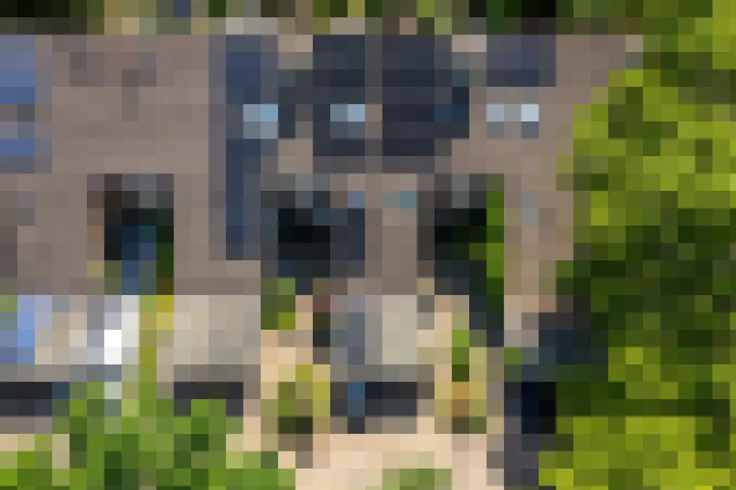 De Hermelijn 75 Driebergen-Rijsenburg thumbnail 53