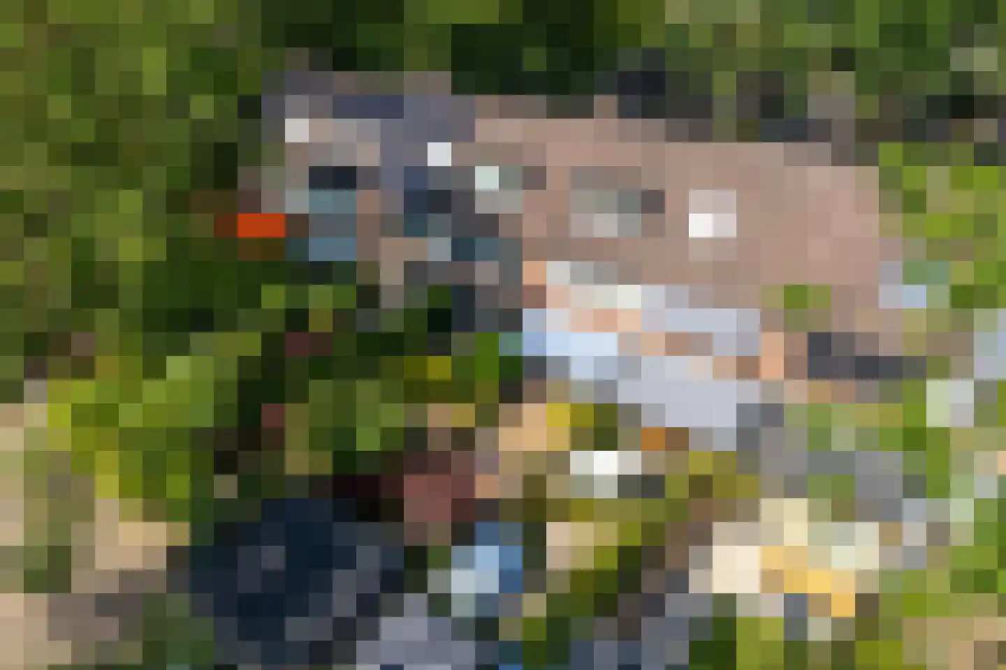 De Hermelijn 75 Driebergen-Rijsenburg thumbnail 54