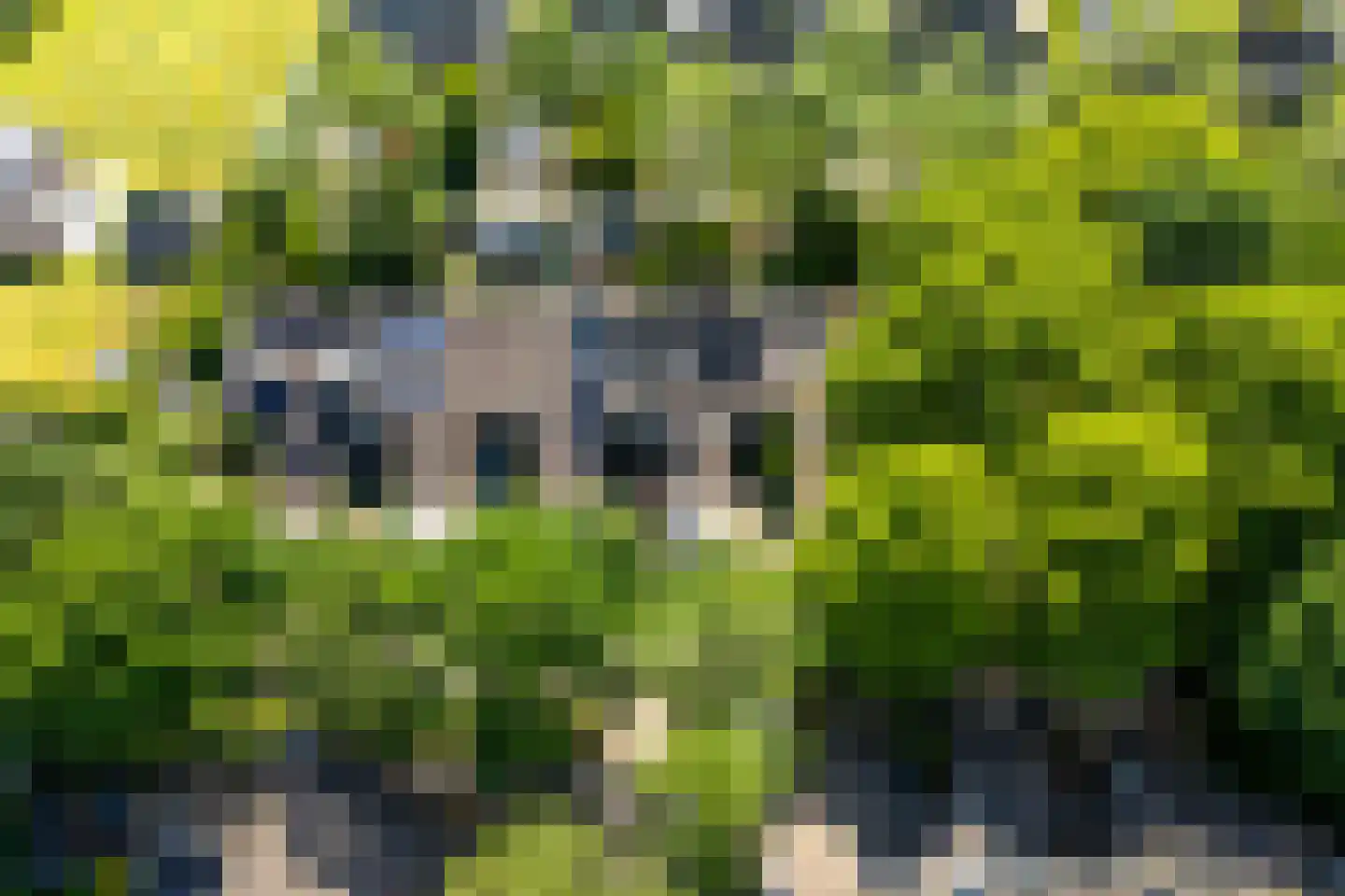 De Hermelijn 75 Driebergen-Rijsenburg thumbnail 55