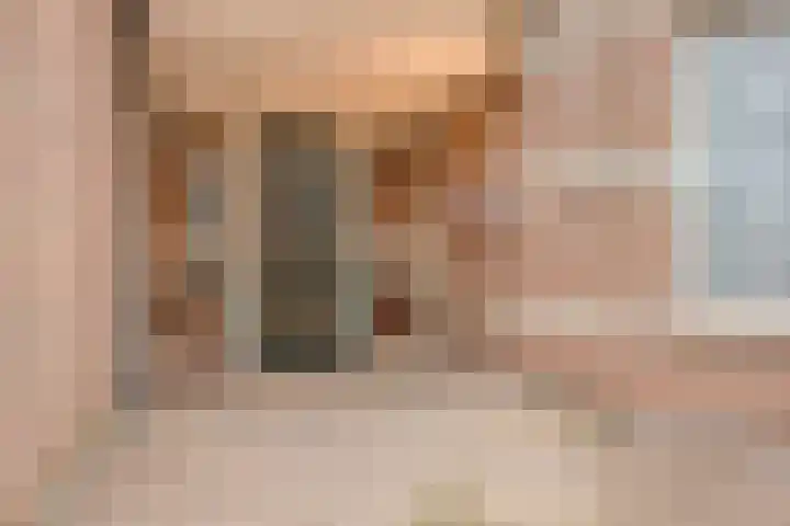 De Hermey 28 Veghel thumbnail 4