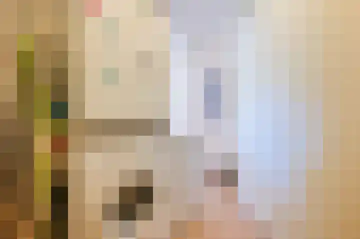 De Hermey 38 Veghel thumbnail 33