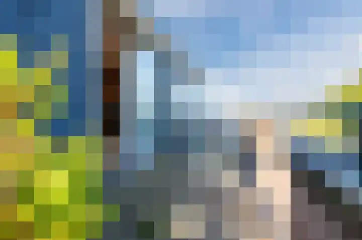 De Hermey 38 Veghel thumbnail 42