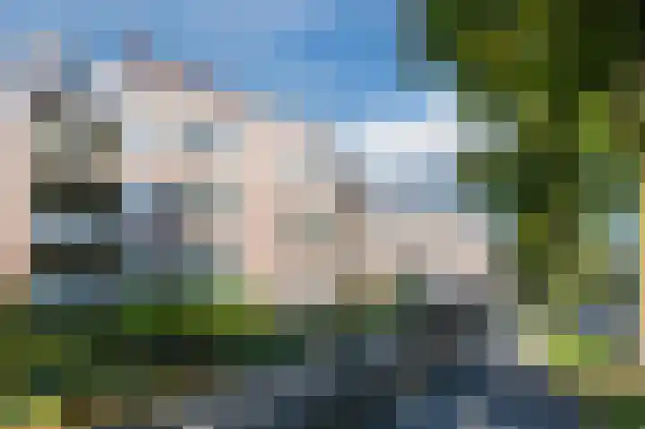 De Hermey 38 Veghel thumbnail 6