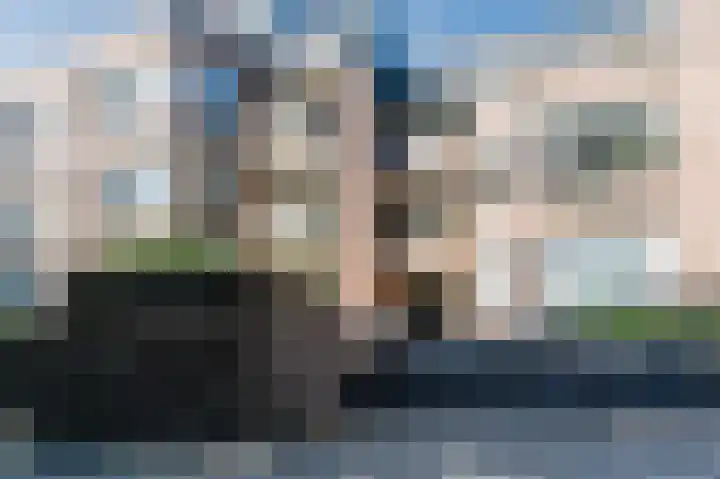 De Hermey 38 Veghel thumbnail 7