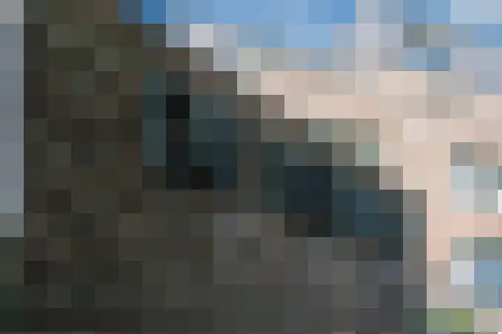 De Hermey 38 Veghel thumbnail 8
