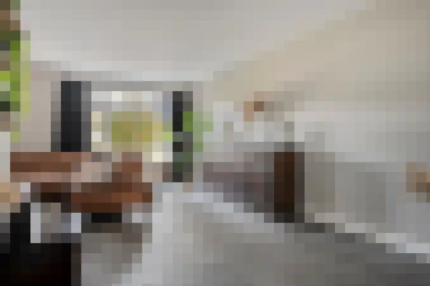 de Hersmole 12 Rossum thumbnail 10