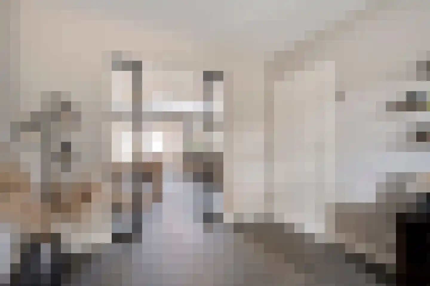 de Hersmole 12 Rossum thumbnail 11