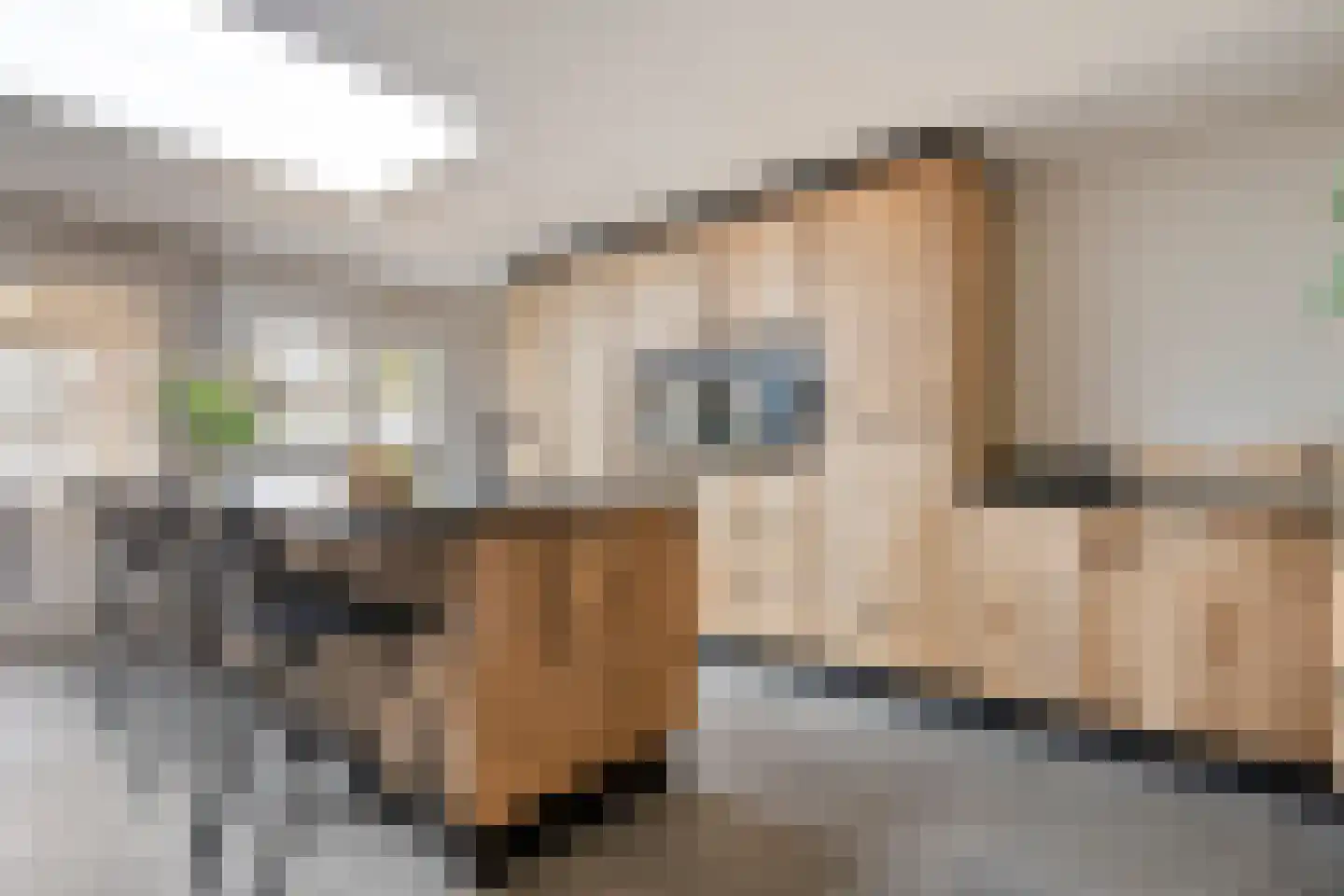 de Hersmole 12 Rossum thumbnail 12