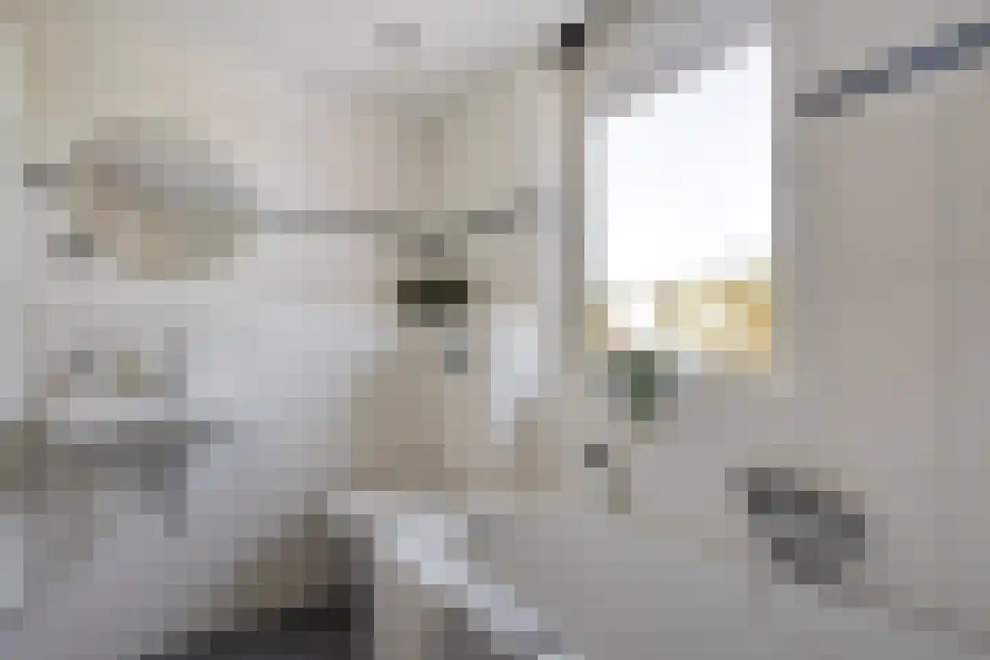 de Hersmole 12 Rossum thumbnail 16