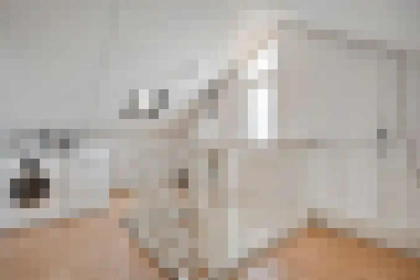 de Hersmole 12 Rossum thumbnail 18