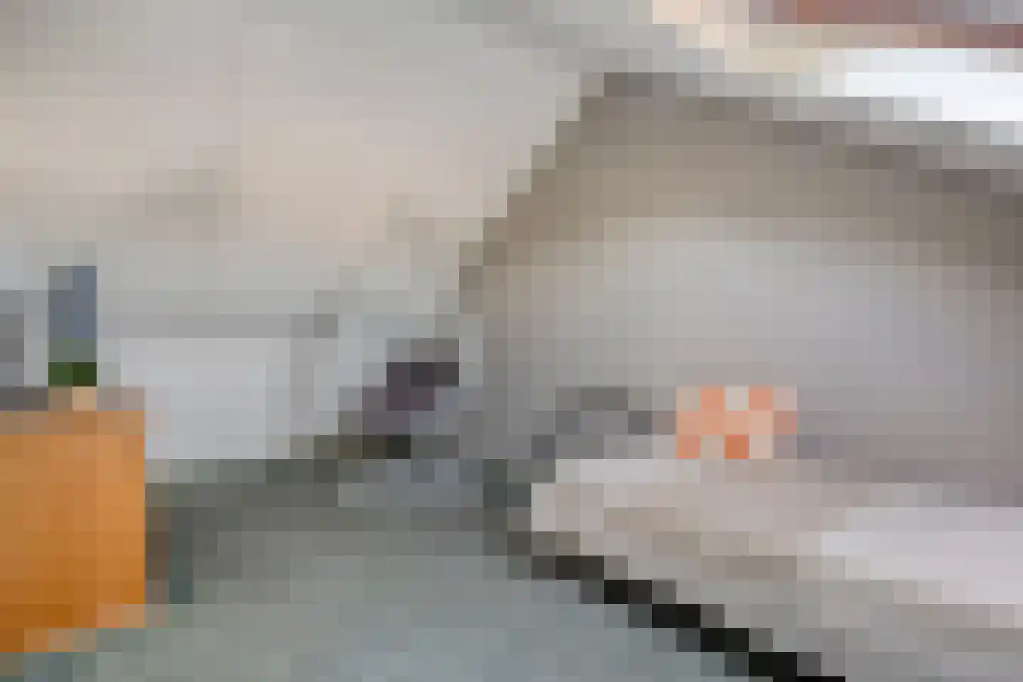 de Hersmole 12 Rossum thumbnail 19