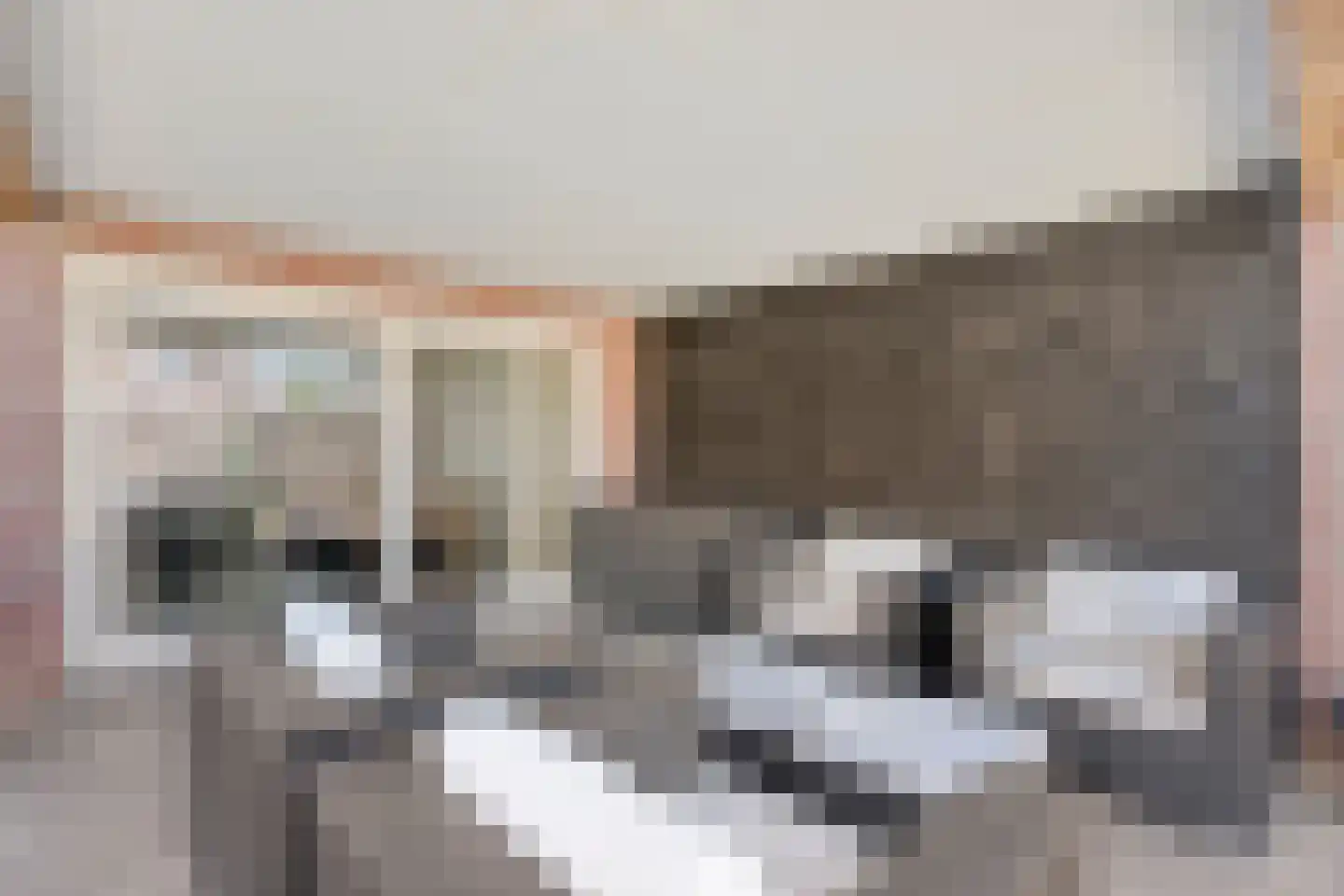 de Hersmole 12 Rossum thumbnail 21