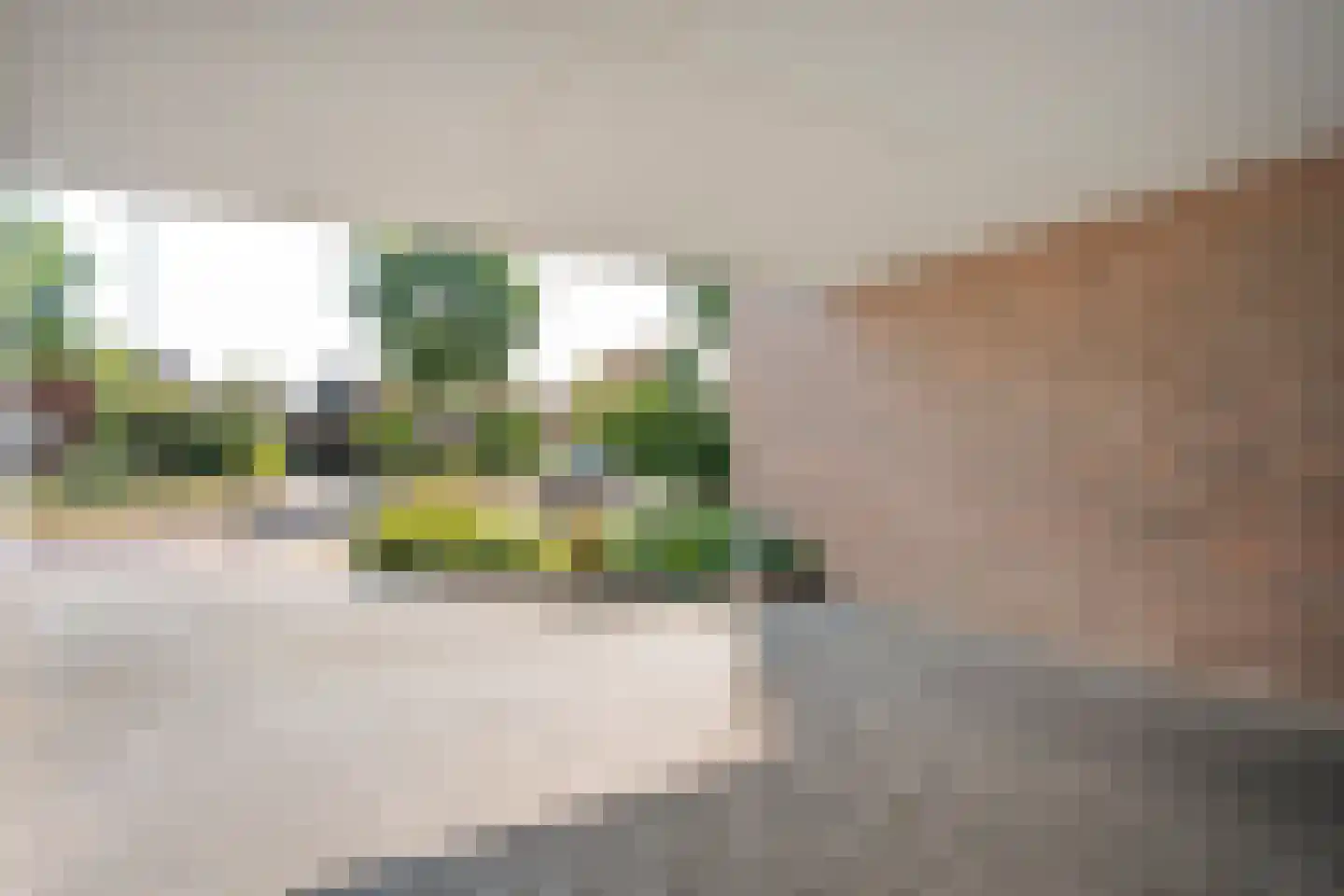de Hersmole 12 Rossum thumbnail 6