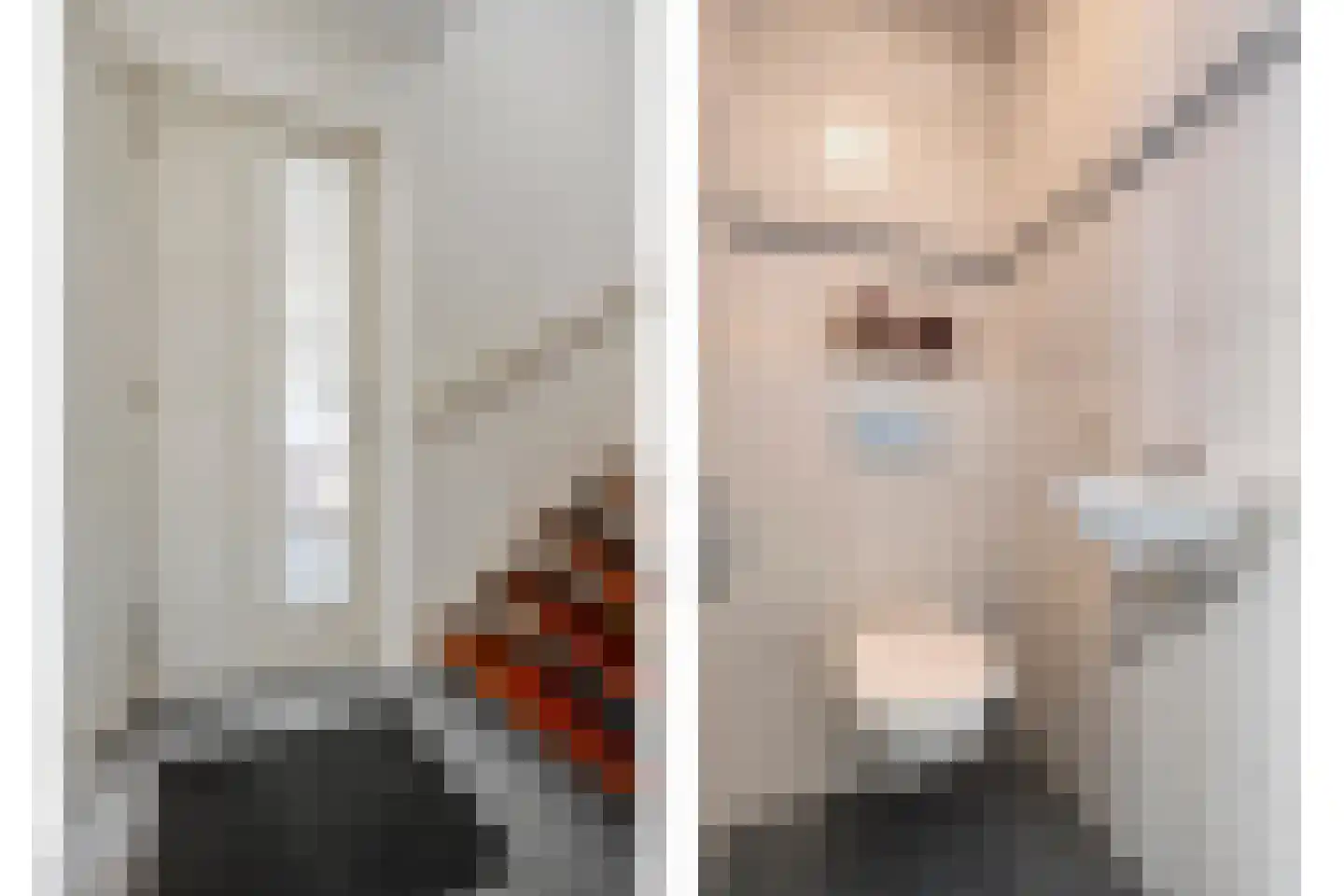de Hersmole 12 Rossum thumbnail 7