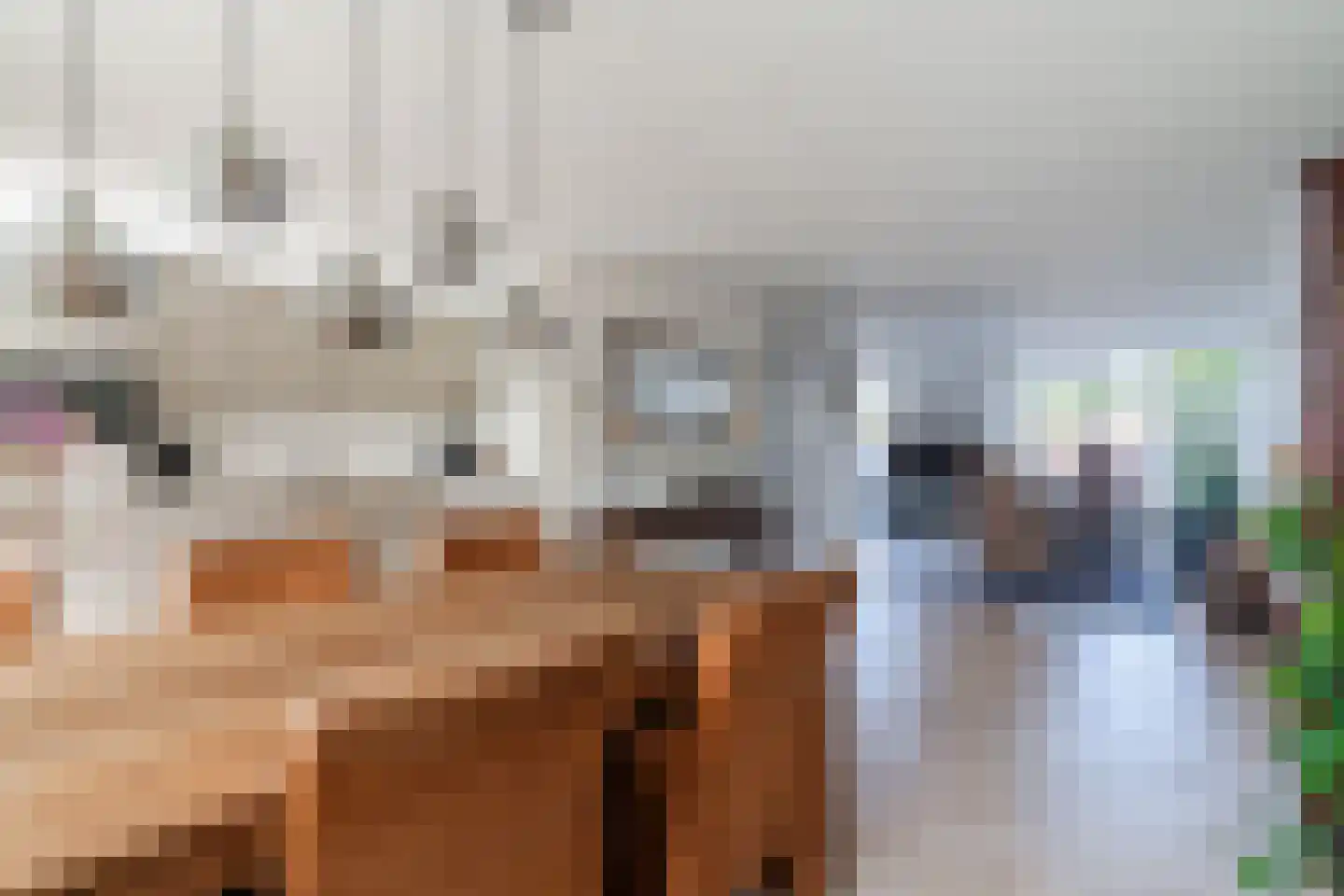 De Heufkens 14 Veldhoven thumbnail 15