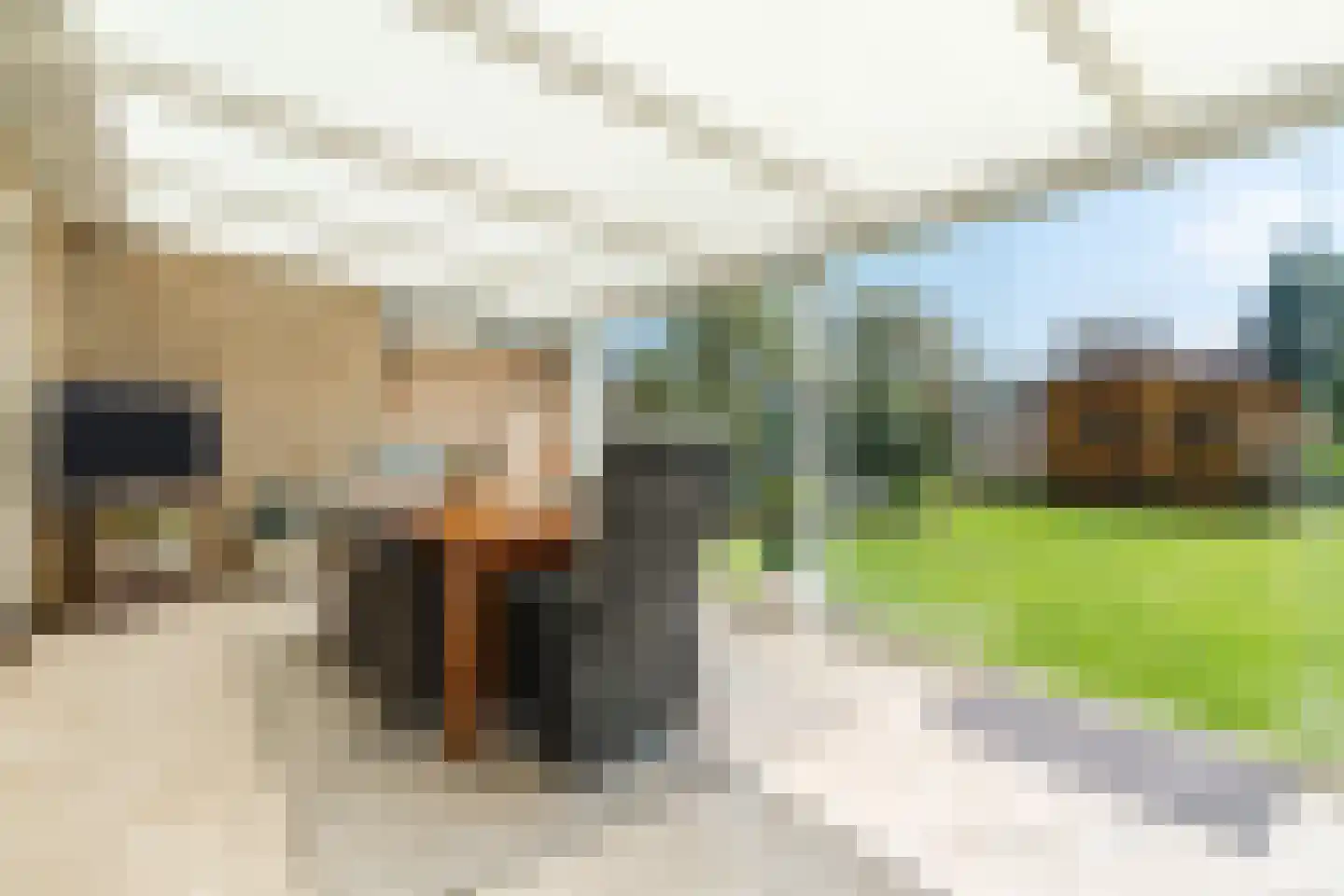 De Heufkens 14 Veldhoven thumbnail 23