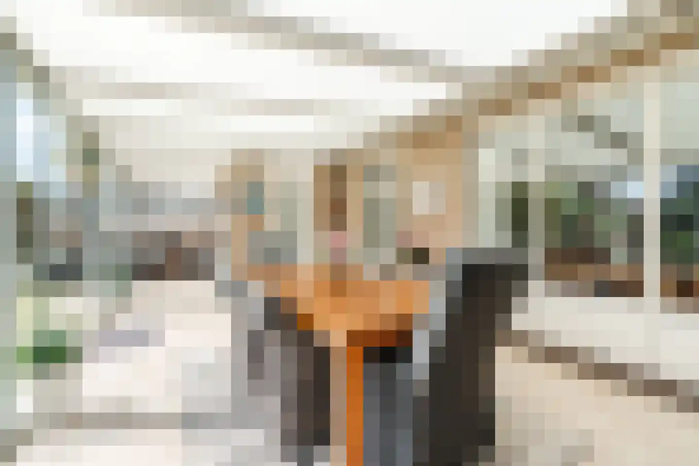 De Heufkens 14 Veldhoven thumbnail 24