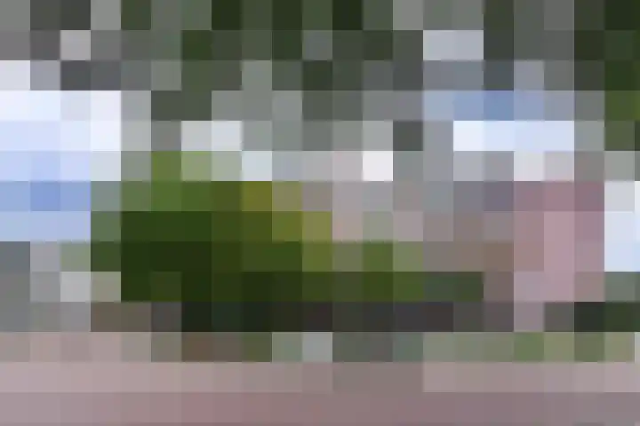 De Heugden 110 Heerlen thumbnail 36