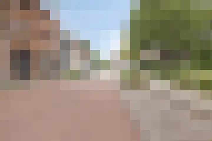 De Heugden 111 Heerlen thumbnail 20