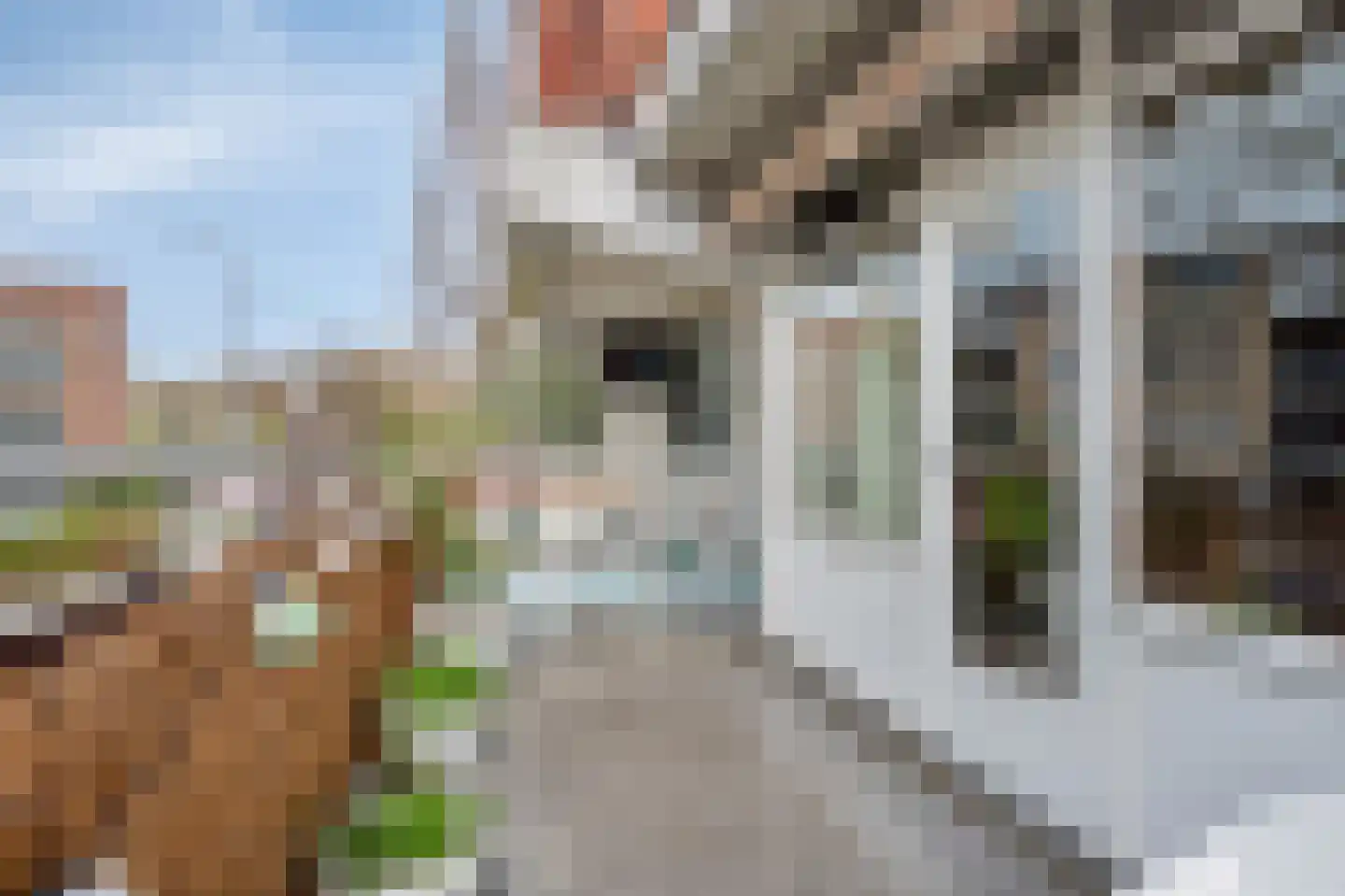 De Heugden 21 Heerlen thumbnail 26