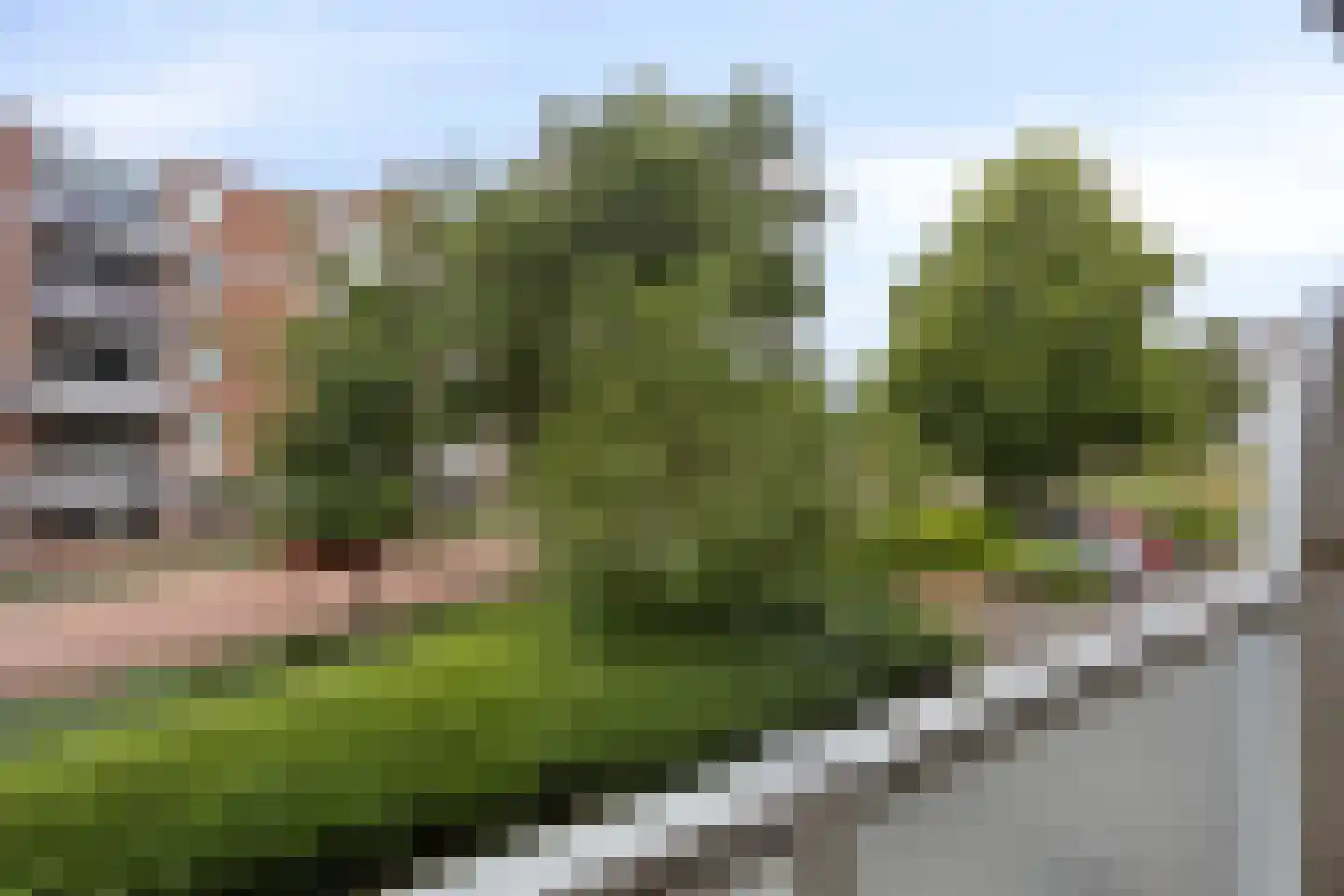 De Heugden 300 Heerlen thumbnail 19