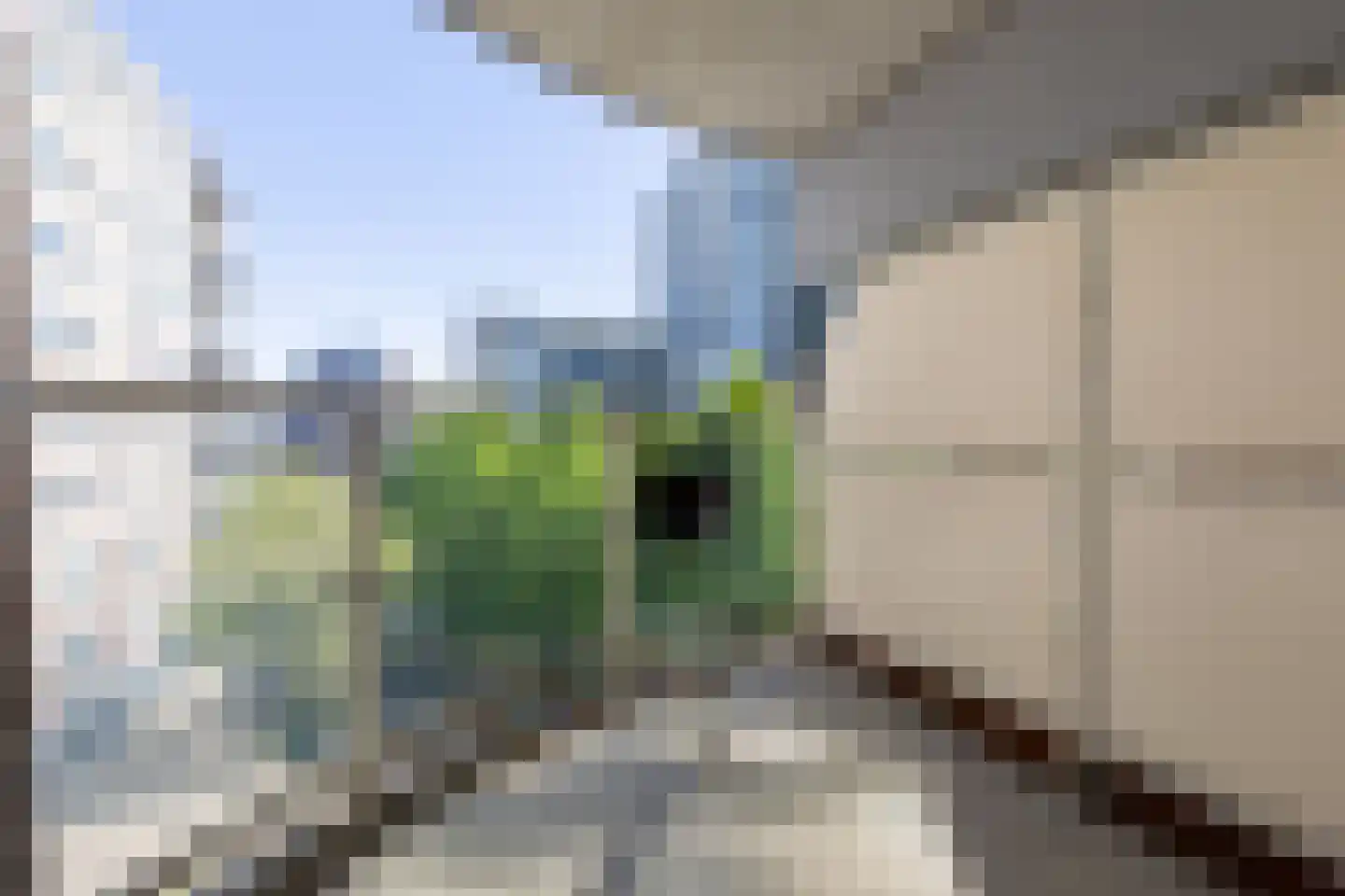 De Heugden 331 Heerlen thumbnail 16