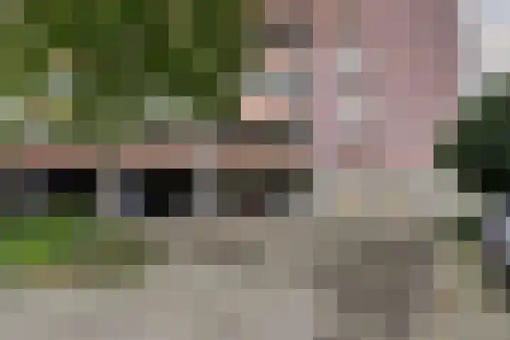 De Heugden 39 Heerlen thumbnail 9