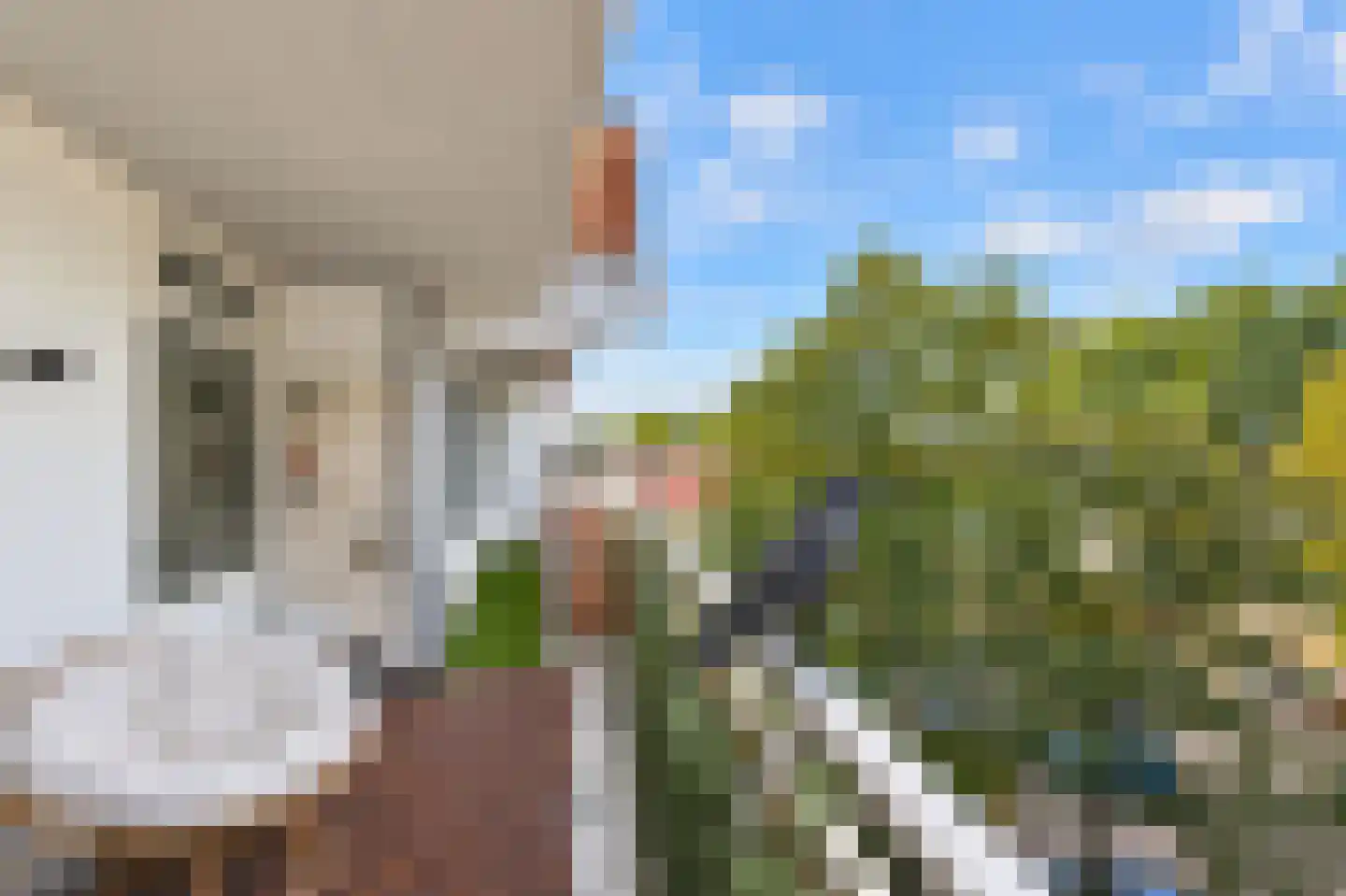 De Heugden 48 Heerlen thumbnail 31