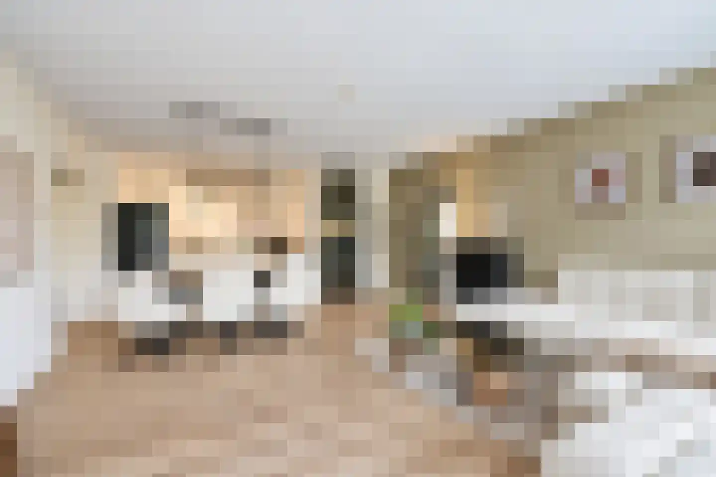 De Heugden 48 Heerlen thumbnail 4
