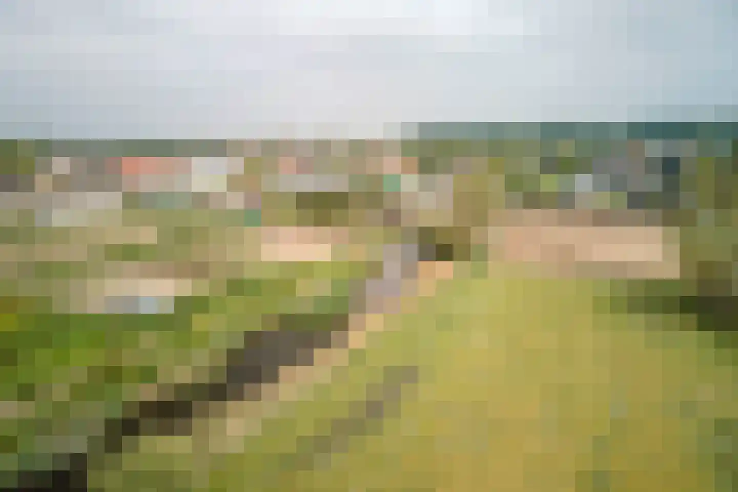 De Heul 13 Oostzaan thumbnail 103