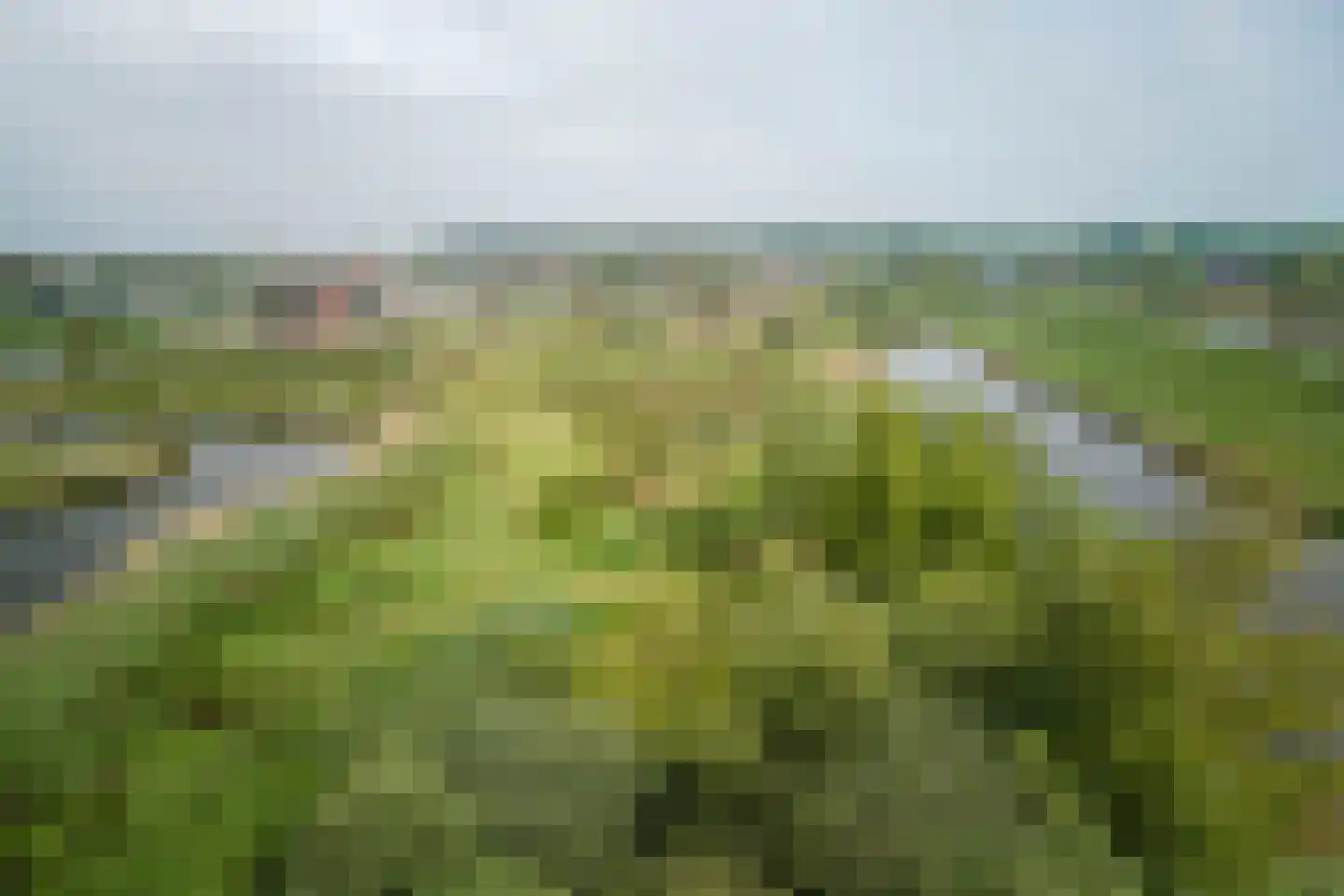 De Heul 13 Oostzaan thumbnail 107
