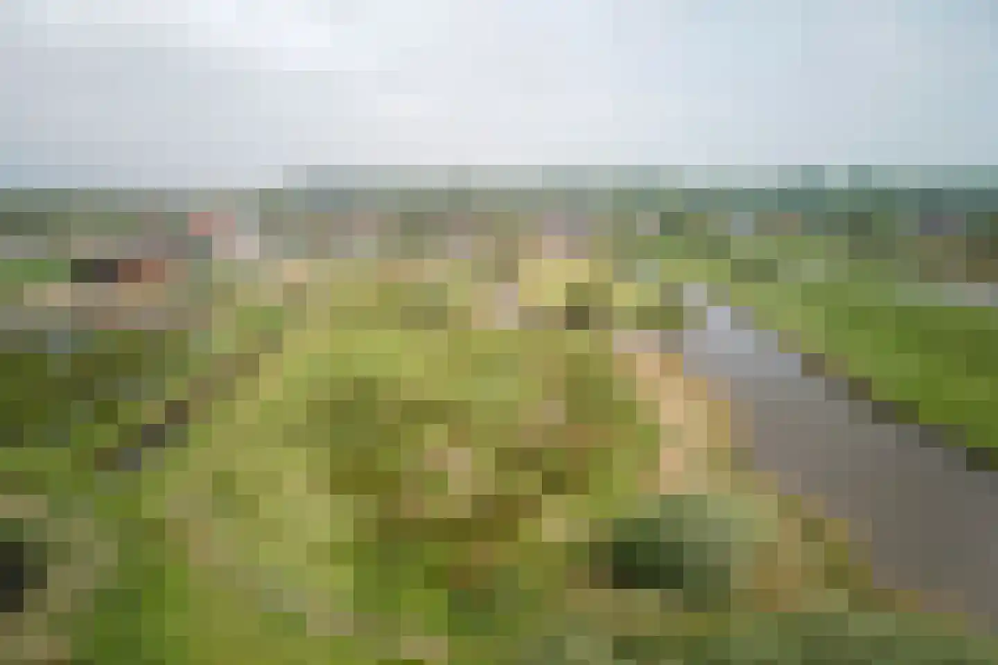 De Heul 13 Oostzaan thumbnail 108