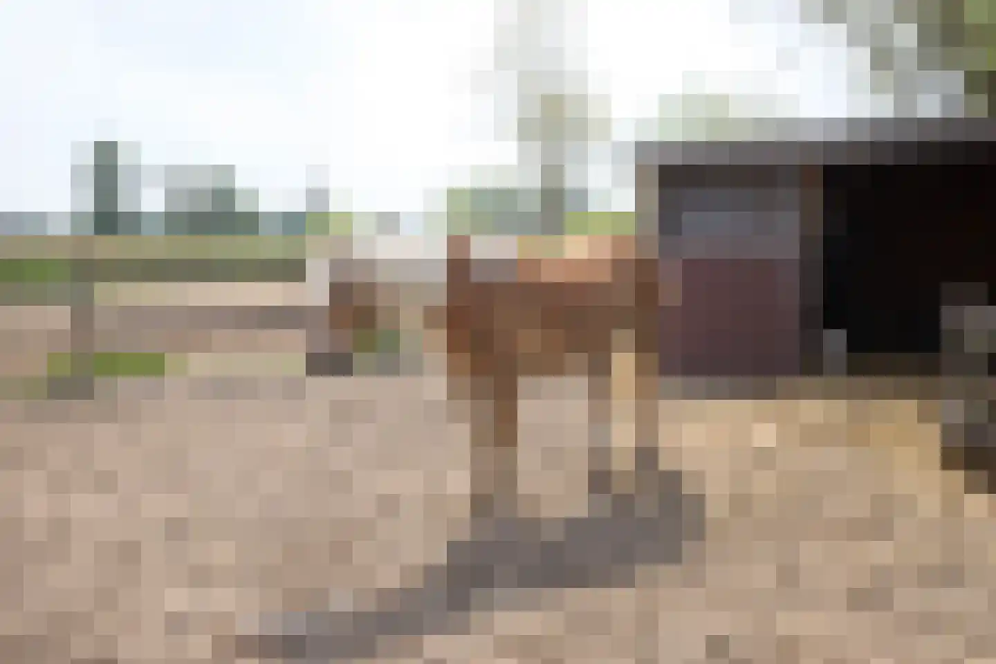 De Heul 13 Oostzaan thumbnail 111