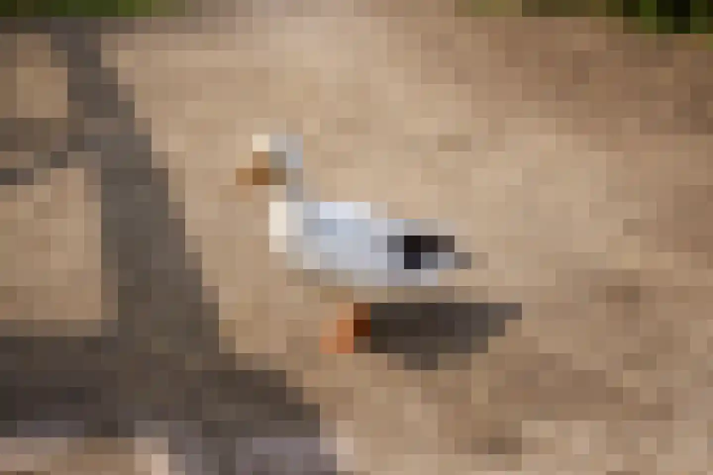 De Heul 13 Oostzaan thumbnail 112
