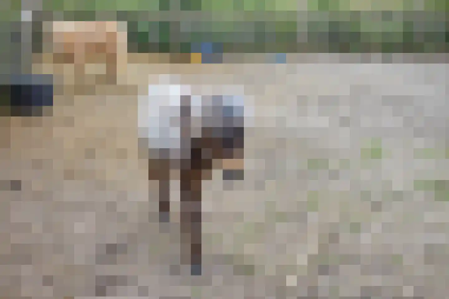 De Heul 13 Oostzaan thumbnail 114