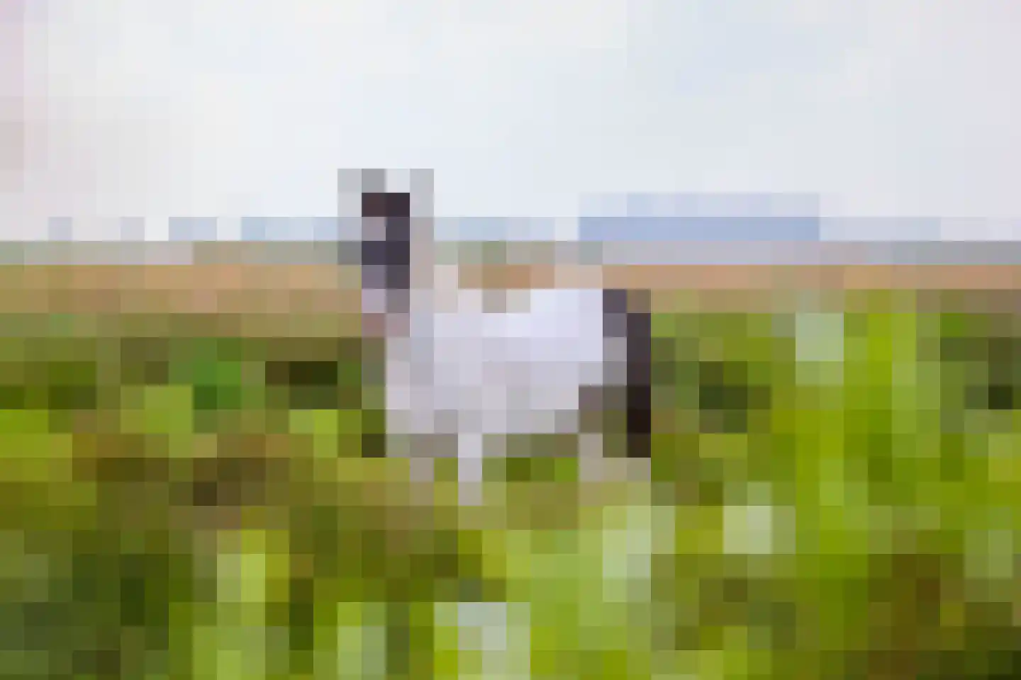 De Heul 13 Oostzaan thumbnail 115