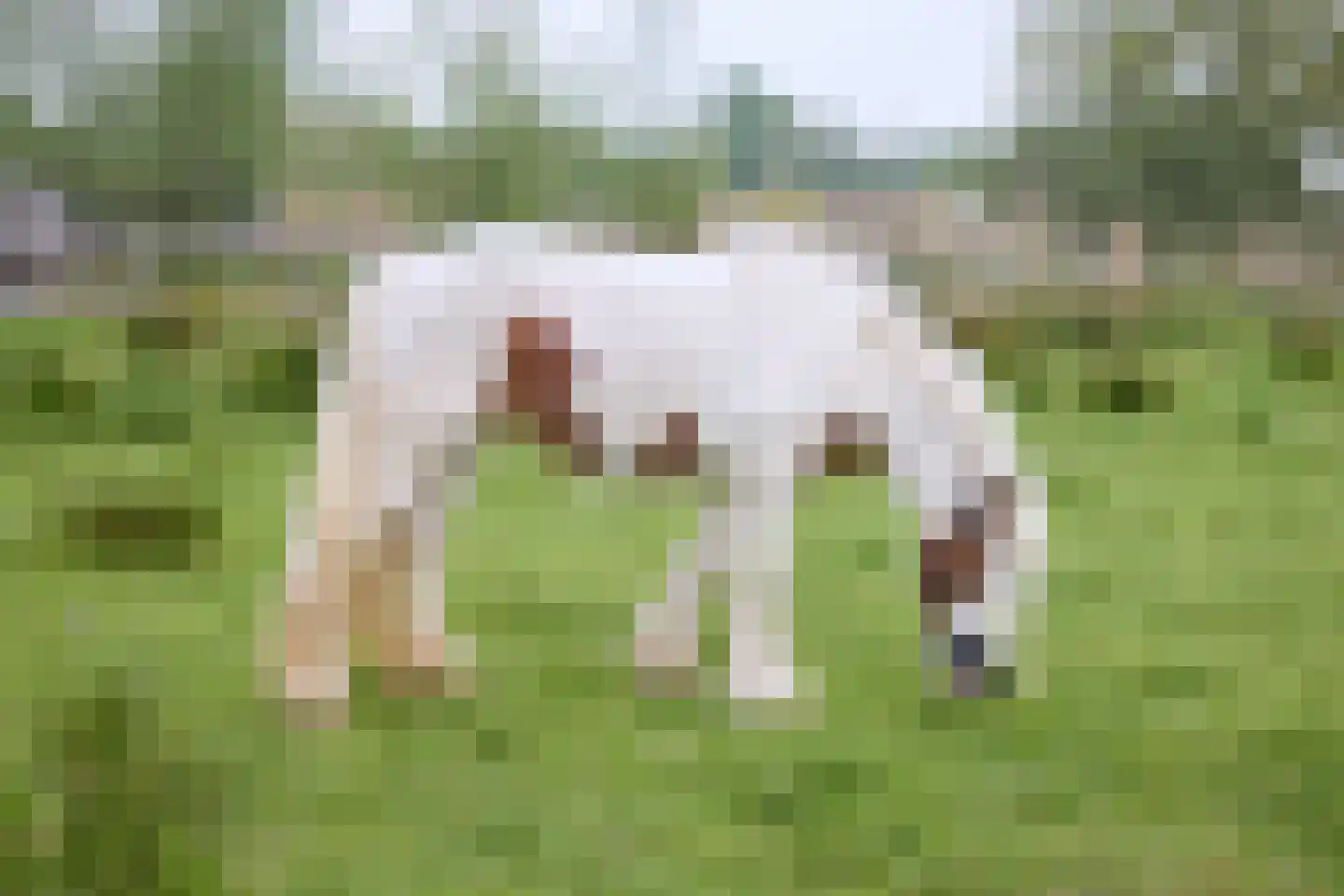 De Heul 13 Oostzaan thumbnail 116