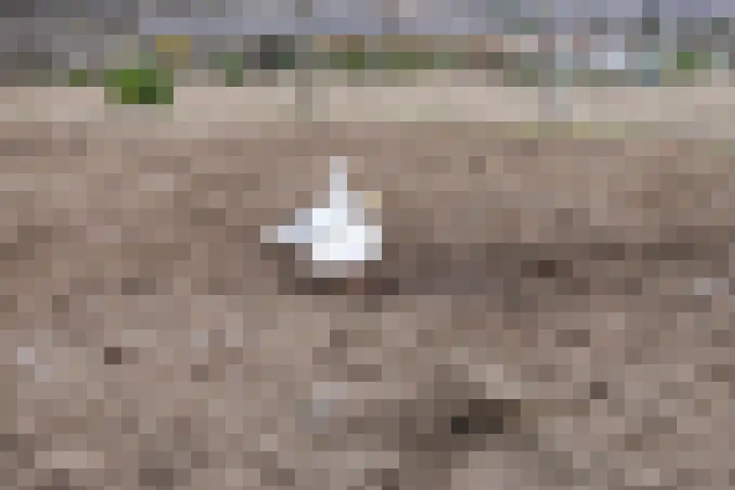 De Heul 13 Oostzaan thumbnail 117
